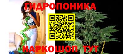 дурь Славянск-на-Кубани