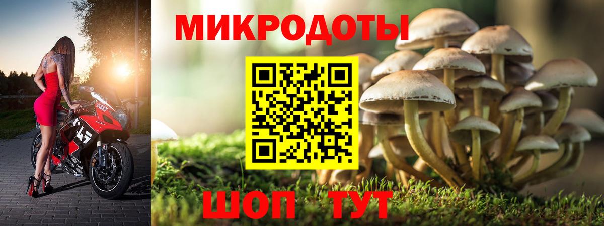 Галлюциногенные грибы MAGIC MUSHROOMS Печора